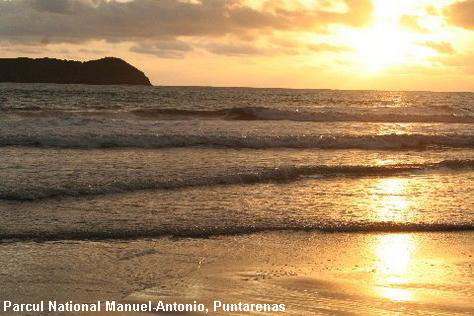 Vacanta in Parcul National Manuel-Antonio, Puntarenas, vacante de vis, calatorie, insule si locuri de scufundat, top plaje de vis