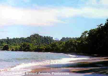 Vacanta in Parcul National Manuel-Antonio, Puntarenas, vacante de vis, calatorie, insule si locuri de scufundat, top plaje de vis