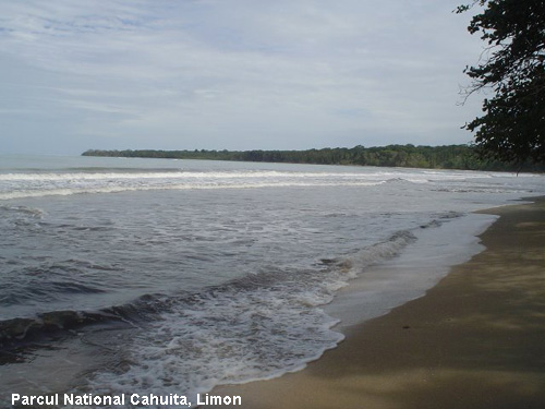 Vacanta in Parcul National Cahuita, Limon, vacante de vis, calatorie, insule si locuri de scufundat, top plaje de vis