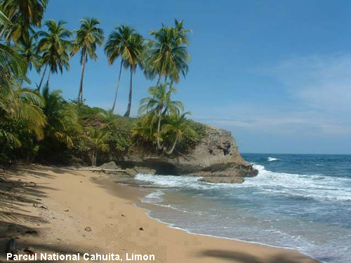 Vacanta in Parcul National Cahuita, Limon, vacante de vis, calatorie, insule si locuri de scufundat, top plaje de vis