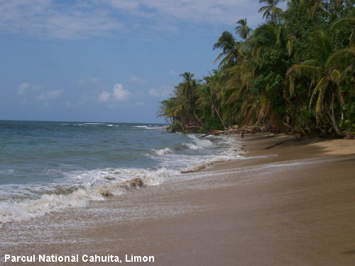 Vacanta in Parcul National Cahuita, Limon, vacante de vis, calatorie, insule si locuri de scufundat, top plaje de vis