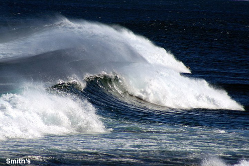Vacanta in Smith's, vacante de vis, calatorie, insule si locuri de scufundat, top plaje de vis