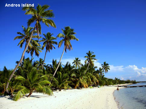 Vacanta in Andros Island, vacante de vis, calatorie, insule si locuri de scufundat, top plaje de vis