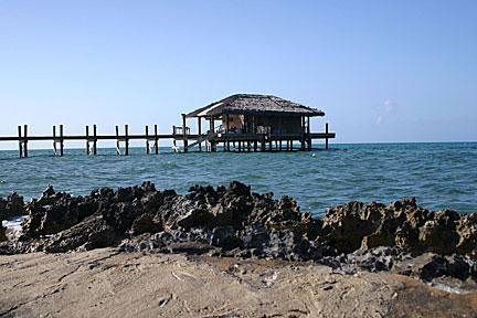 Vacanta in Andros Island, vacante de vis, calatorie, insule si locuri de scufundat, top plaje de vis