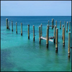 Vacanta in Governor's Harbour, Eleuthera, vacante de vis, calatorie, insule si locuri de scufundat, top plaje de vis