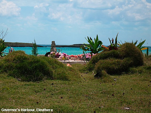 Vacanta in Governor's Harbour, Eleuthera, vacante de vis, calatorie, insule si locuri de scufundat, top plaje de vis
