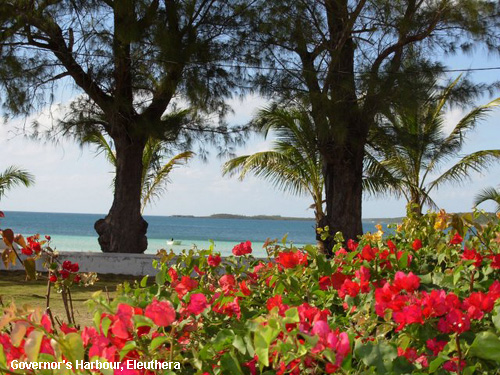 Vacanta in Governor's Harbour, Eleuthera, vacante de vis, calatorie, insule si locuri de scufundat, top plaje de vis