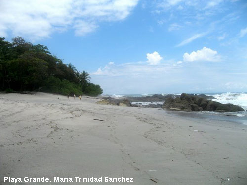 Vacanta in Playa Grande, Maria Trinidad Sanchez, vacante de vis, calatorie, insule si locuri de scufundat, top plaje de vis