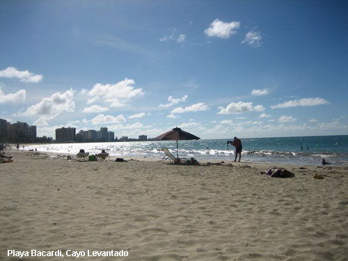 Vacanta in Playa Bacardi, Cayo Levantado, vacante de vis, calatorie, insule si locuri de scufundat, top plaje de vis