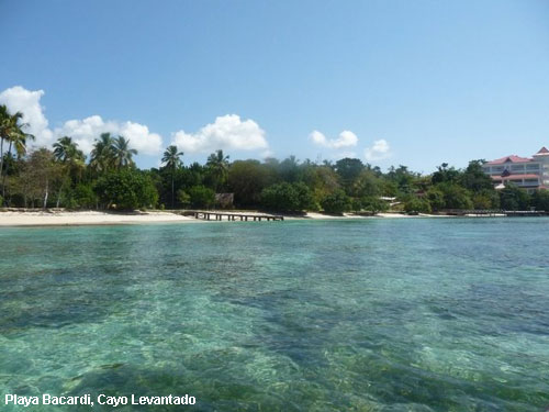 Vacanta in Playa Bacardi, Cayo Levantado, vacante de vis, calatorie, insule si locuri de scufundat, top plaje de vis