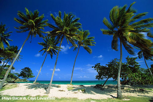 Vacanta in Playa Bacardi, Cayo Levantado, vacante de vis, calatorie, insule si locuri de scufundat, top plaje de vis