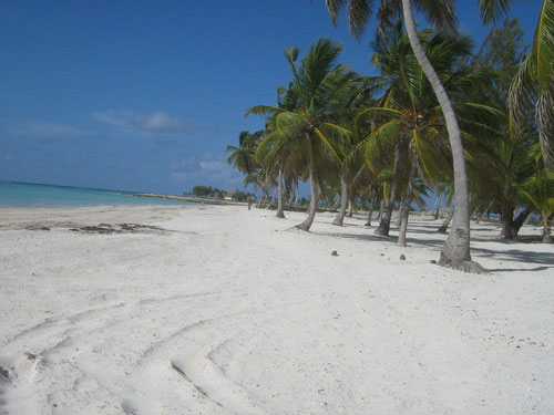 Vacanta in Playa Juanillo, La Altagracia, vacante de vis, calatorie, insule si locuri de scufundat, top plaje de vis