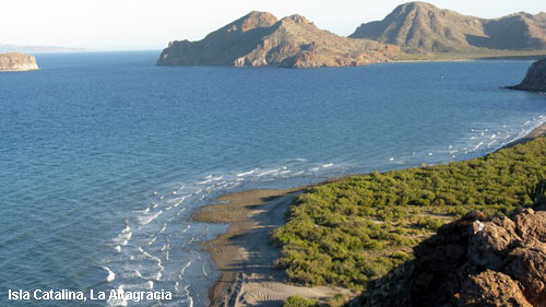 Vacanta in Isla Catalina, La Altagracia, vacante de vis, calatorie, insule si locuri de scufundat, top plaje de vis