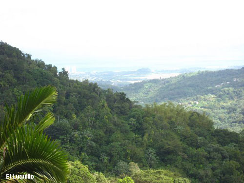 Vacanta in El Luquillo, vacante de vis, calatorie, insule si locuri de scufundat, top plaje de vis