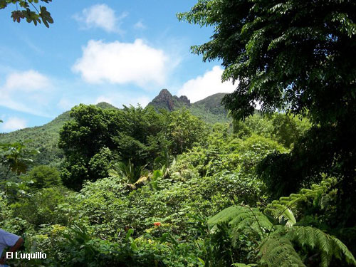 Vacanta in El Luquillo, vacante de vis, calatorie, insule si locuri de scufundat, top plaje de vis