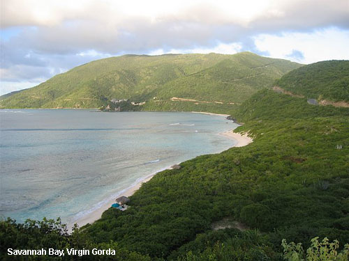 Vacanta in Savannah Bay, Virgin Gorda, vacante de vis, calatorie, insule si locuri de scufundat, top plaje de vis