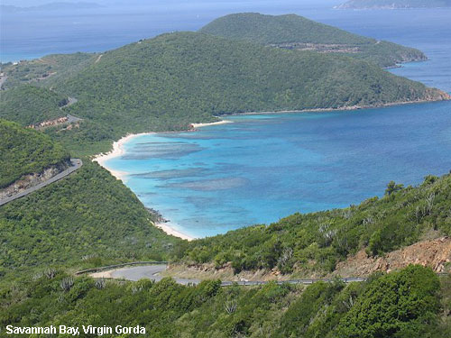 Vacanta in Savannah Bay, Virgin Gorda, vacante de vis, calatorie, insule si locuri de scufundat, top plaje de vis