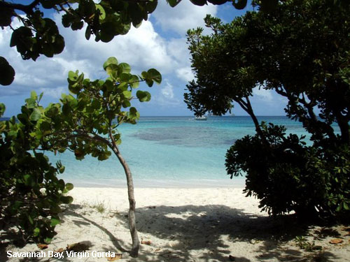 Vacanta in Savannah Bay, Virgin Gorda, vacante de vis, calatorie, insule si locuri de scufundat, top plaje de vis