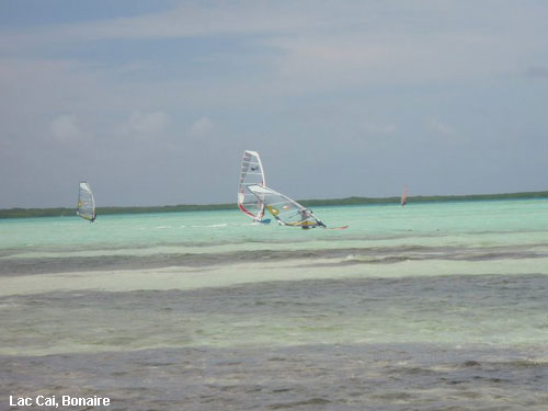 Vacanta in Lac Cai, Bonaire, vacante de vis, calatorie, insule si locuri de scufundat, top plaje de vis