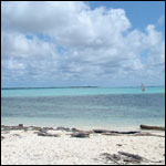 Vacanta in Lac Cai, Bonaire, vacante de vis, calatorie, insule si locuri de scufundat, top plaje de vis