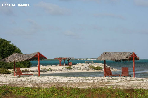 Vacanta in Lac Cai, Bonaire, vacante de vis, calatorie, insule si locuri de scufundat, top plaje de vis