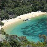 Vacanta in Cove Bay, vacante de vis, calatorie, insule si locuri de scufundat, top plaje de vis