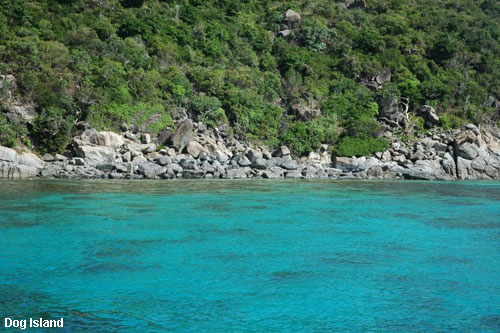 Vacanta in Dog Island, vacante de vis, calatorie, insule si locuri de scufundat, top plaje de vis