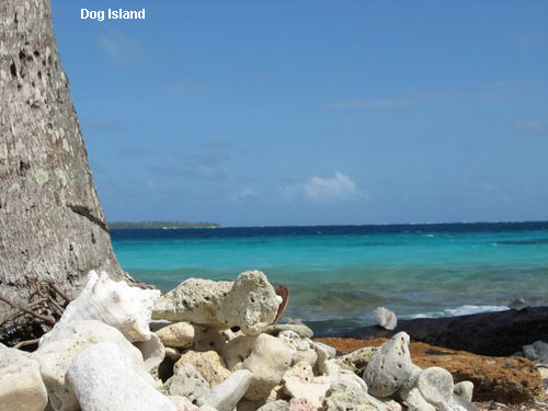 Vacanta in Dog Island, vacante de vis, calatorie, insule si locuri de scufundat, top plaje de vis