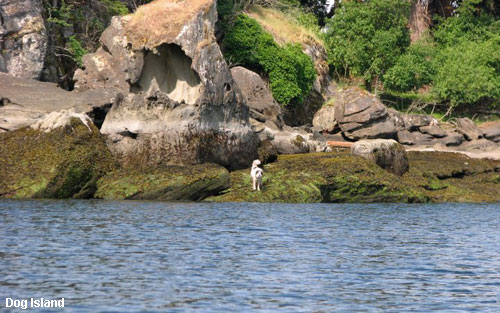 Vacanta in Dog Island, vacante de vis, calatorie, insule si locuri de scufundat, top plaje de vis