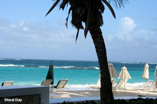 Vacanta in Shoal Bay, vacante de vis, calatorie, insule si locuri de scufundat, top plaje de vis