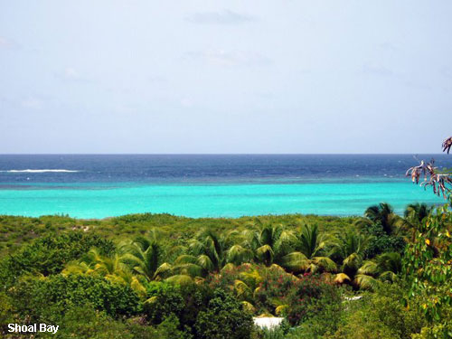 Vacanta in Shoal Bay, vacante de vis, calatorie, insule si locuri de scufundat, top plaje de vis