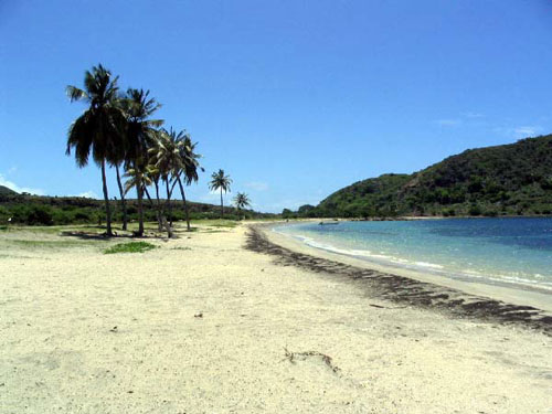 Vacanta in Cockleshell Bay, St. Kitts, vacante de vis, calatorie, insule si locuri de scufundat, top plaje de vis