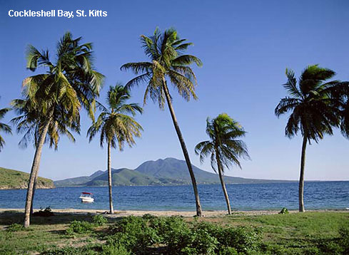 Vacanta in Cockleshell Bay, St. Kitts, vacante de vis, calatorie, insule si locuri de scufundat, top plaje de vis
