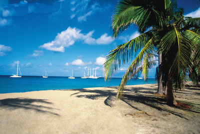 Vacanta in Pinney's Beach, Nevis, vacante de vis, calatorie, insule si locuri de scufundat, top plaje de vis