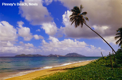 Vacanta in Pinney's Beach, Nevis, vacante de vis, calatorie, insule si locuri de scufundat, top plaje de vis