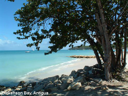 Vacanta in Dickenson Bay, Antigua, vacante de vis, calatorie, insule si locuri de scufundat, top plaje de vis