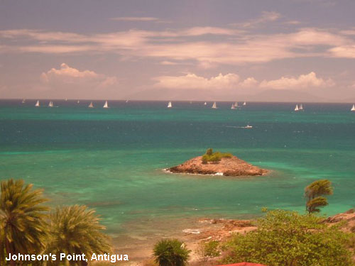 Vacanta in Johnson's Point, Antigua, vacante de vis, calatorie, insule si locuri de scufundat, top plaje de vis