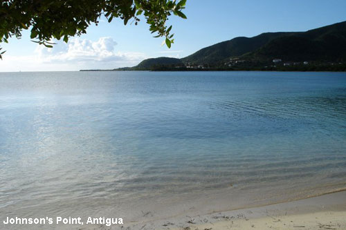 Vacanta in Johnson's Point, Antigua, vacante de vis, calatorie, insule si locuri de scufundat, top plaje de vis