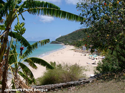 Vacanta in Johnson's Point, Antigua, vacante de vis, calatorie, insule si locuri de scufundat, top plaje de vis