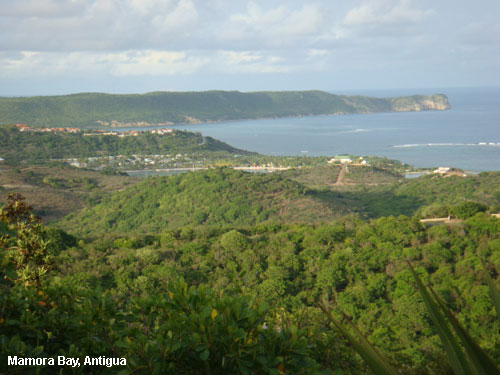 Vacanta in Mamora Bay, Antigua, vacante de vis, calatorie, insule si locuri de scufundat, top plaje de vis