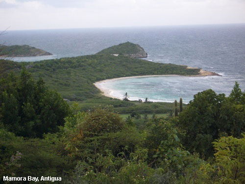 Vacanta in Mamora Bay, Antigua, vacante de vis, calatorie, insule si locuri de scufundat, top plaje de vis