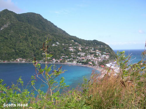 Vacanta in Scotts Head, vacante de vis, calatorie, insule si locuri de scufundat, top plaje de vis