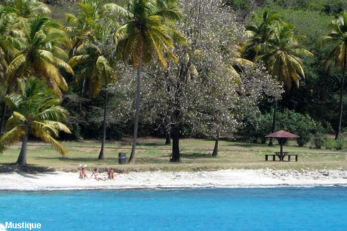 Vacanta in Mustique, vacante de vis, calatorie, insule si locuri de scufundat, top plaje de vis