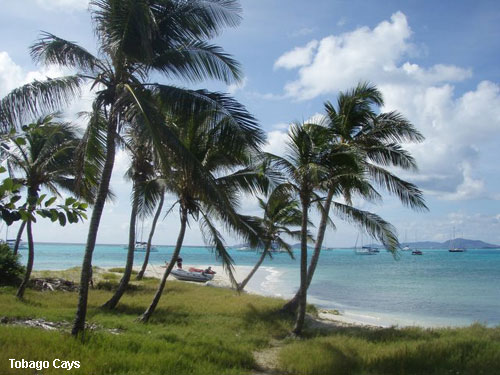 Vacanta in Tobago Cays, vacante de vis, calatorie, insule si locuri de scufundat, top plaje de vis