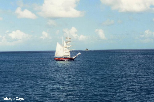 Vacanta in Tobago Cays, vacante de vis, calatorie, insule si locuri de scufundat, top plaje de vis