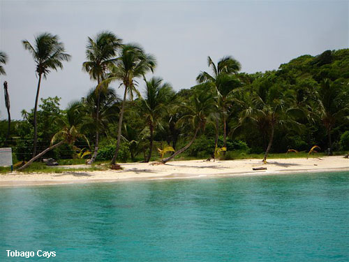Vacanta in Tobago Cays, vacante de vis, calatorie, insule si locuri de scufundat, top plaje de vis