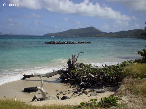 Vacanta in Carriacou, vacante de vis, calatorie, insule si locuri de scufundat, top plaje de vis