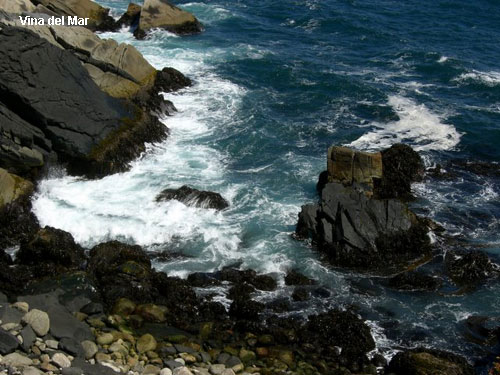 Vacanta in Vina del Mar, vacante de vis, calatorie, insule si locuri de scufundat, top plaje de vis
