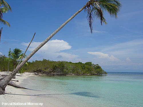 Vacanta in Parcul National Morrocoy, vacante de vis, calatorie, insule si locuri de scufundat, top plaje de vis
