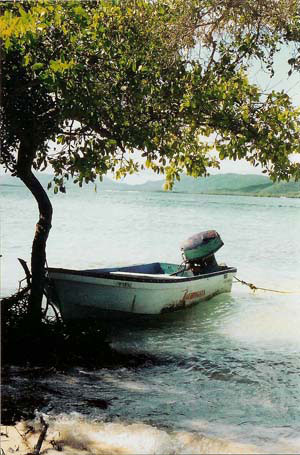 Vacanta in Parcul National Morrocoy, vacante de vis, calatorie, insule si locuri de scufundat, top plaje de vis